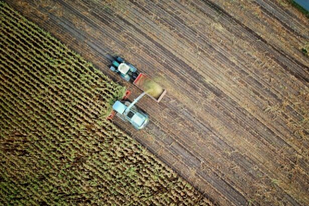 18 ferme mixte selectate pentru a deveni ferme model in urma investitiilor de mediu 68ff6e15d96f9