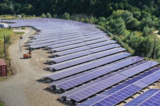 allview energy parte din compania visual fan a finalizat un parc fotovoltaic pentru salina cacica in judetul suceava in parteneriat cu societatea nationala a sarii 68e9077a0b04b