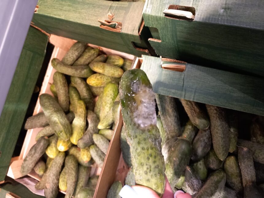 ANPC a efectuat verificări la peste 1.700 de firme în această săptămână, aplicând 1.185 de sancțiuni 1 anpc a controlat peste 1 700 de companii saptamana aceasta si a dat 1 185 de amenzi 68e9336d5ab45