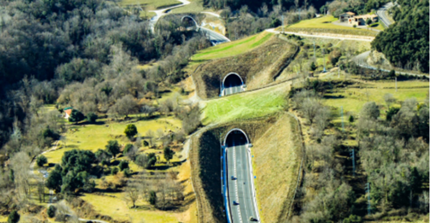 Autostrada Brașov – Făgăraș: 50 km de drum, 46 de poduri, două tuneluri inovatoare și un ecoduct, cu o investiție de peste 10 miliarde de lei – detalii importante 1 autostrada brasov fagaras va avea 50 km 46 de poduri doua tuneluri cutcover si un ecoduct investitia sare de 10 miliarde de lei document mediu 68e6bcf5240e2