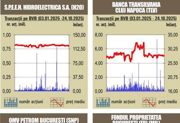 bvb actiunile hidroelectrica pe prima treapta in topul rulajului 68fe99ff3f745