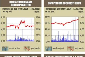 bvb aprecieri pentru majoritatea indicilor 68f5527697c30