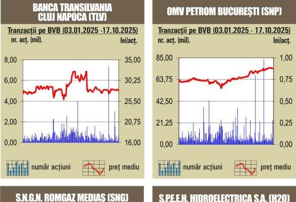 bvb aprecieri pentru majoritatea indicilor 68f5527697c30