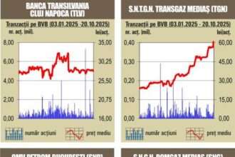 bvb debut verde de saptamana pentru indici 68f6a3f92f39b