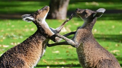 mastercard and coinbase in bidding war for stablecoin firm bvnk fortune 68e917156f310