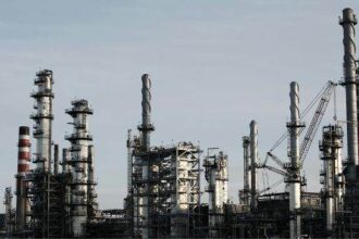 microfruits a devenit actionarul majoritar al armatura cluj 68ec8168b47a9