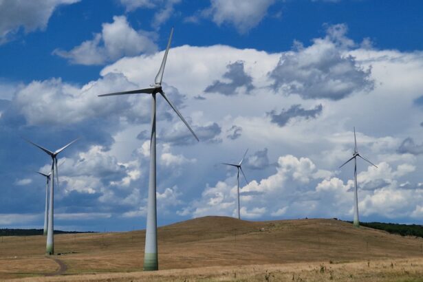 niciun pic de vant si cer innorat eolienele consuma curent nu produc si este nevoie ca termocentralele sa fie turate puternic ca sa acoperim parte din consum sen are nevoie de i 68ee025d40825