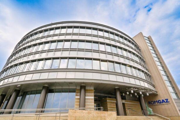 romgaz va lansa obligatiuni in valoare de cel mult 750 milioane euro 68f75866302f0