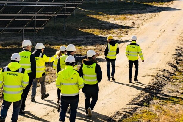 un gigant din polonia intra in romania cu filiala onde unul dintre cei mai mari constructori de proiecte de energie regenerabila 68ef7b40bbb4f