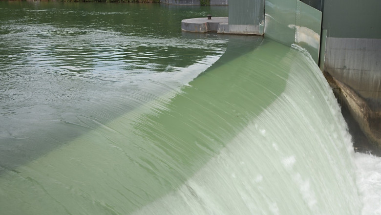 Bogdan Ivan: Proiectele de hidrocentrale întâmpină obstacole din cauza gândacilor și peștilor. Este inadmisibil, mă voi adresa CSAT-ului 1 video bogdan ivan avem blocaje la proiectele de hidrocentrale din cauza gandacilor si pestilor sunt aberatii voi merge in csat 68de764f926c1