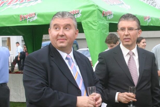 afacerile fratilor micula s au prabusit in 2024 venituri in scadere cu 25 si pierderi de peste 170 milioane lei 690a3239205df