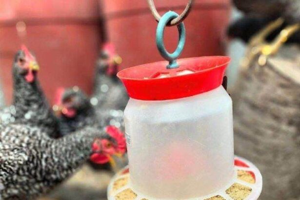 agroland raporteaza o crestere de 65 a profitului net la noua luni 690e153fb3e93