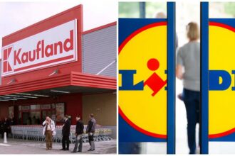 anunt de la patronii lidl si kaufland ce vor sa construiasca cu 11 miliarde de euro 691b1d93466fd