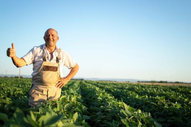 cec bank faciliteaza refinantarea creditelor acordate prin componentele agro si rural printr o noua conventie oferita clientilor 691c3177c2224