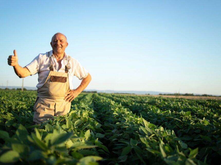 CEC Bank simplifică refinanțarea creditelor agricole și rurale printr-o convenție inovatoare pentru clienți 1 cec bank faciliteaza refinantarea creditelor acordate prin componentele agro si rural printr o noua conventie oferita clientilor 691c3177c2224