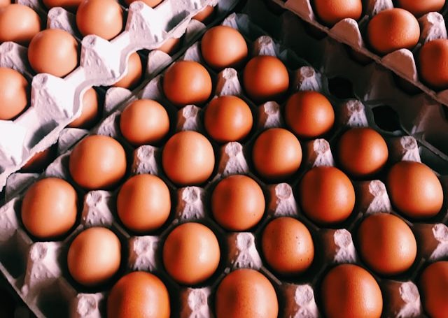 cine este fermierul roman care refuza sa vanda ouale la export agrointeligenta 6918be9494c2c