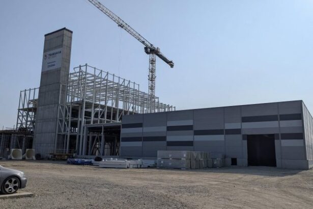 crecatorul de pasari transavia investeste 150 de milioane de euro intr o fabrica de mancare pentru animale in comertul modern 3 din hrana de pisici si caini provine din romania 69124331931e2