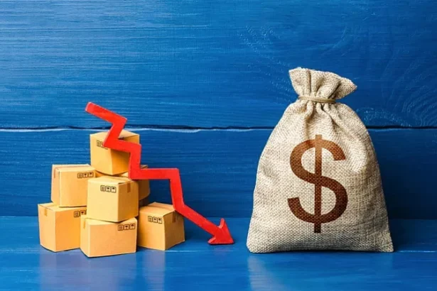 fic investitorii considera ca mediul de afaceri s a deteriorat 68 si vor opera reduceri de costuri 83 6909ce6b6c2fa