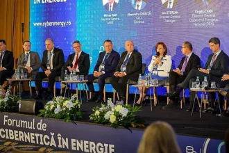 investitii intarziate este legea achizitiilor publice prea restrictiva sunt procedurile neclare 69087cde831c8