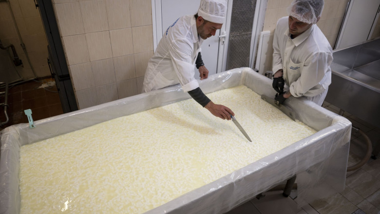 peste 7 300 de persoane private de libertate lucreaza in romania ce conditii trebuie sa indeplineasca detinutii si cum se impart banii 6925c10bc2a53