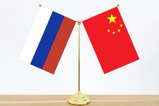 rusia primele obligatiuni guvernamentale interne denominate in yuani in decembrie 69149127c482b