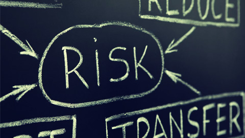 y tree on the rise of transparent wealthtech 692000a879cbd