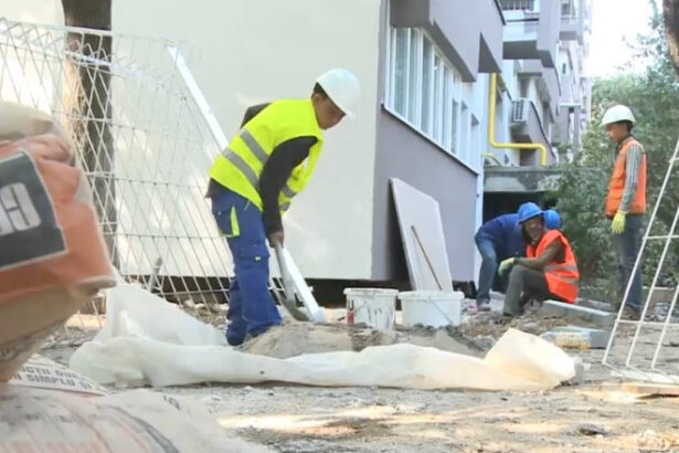 90 000 de noi lucratori straini vor fi admisi anul viitor pe piata fortei de munca din romania domeniile in care vor activa acestia 69542a7504492