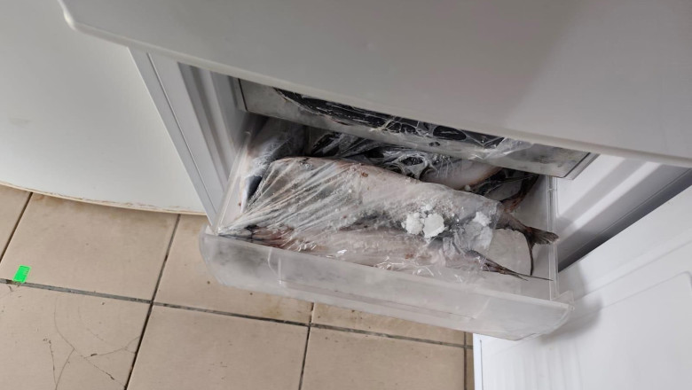 ANPC a derulat inspecții în destinații turistice, aplicând sancțiuni de 1,6 milioane de lei. Ce abateri au fost identificate 1 anpc a facut controale in zone turistice si a dat amenzi de 16 milioane de lei ce nereguli au fost descoperite 6949862c72f5b