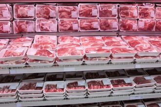 antreprenorii din industria alimentara cer reconsiderarea eliminarii facilitatilor fiscale pentru 2026 693c0c19b5bcb