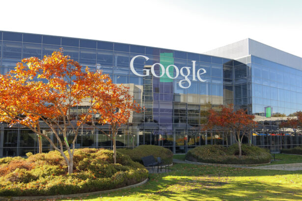 google si apple isi avertizeaza angajatii cu viza in statele unite sa evite calatoriile internationale 6947aa0d5b8d2