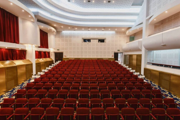 guvernul a alocat peste 188 de milioane de lei pentru teatre opere si filarmonici din 34 de judete 6942f128c2cd5