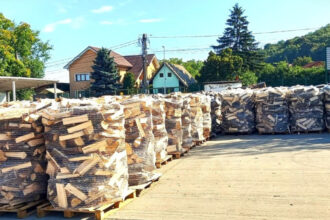 pretul de referinta al lemnului ar putea creste de la 1 ianuarie 2026 masura nu are impact direct asupra pretului platit de populatie 6942a14ca97f1