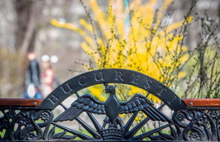 proiectul privind taxe si impozite locale marite supus dezbaterii publice pe site ul pmb 693bf8a415080