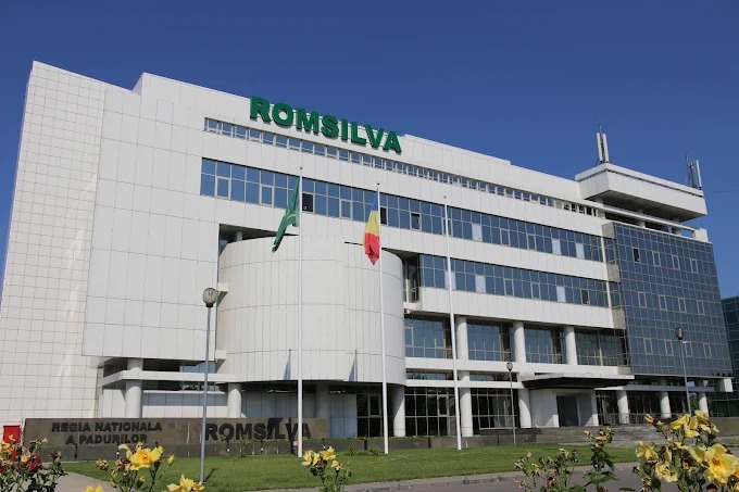 Romsilva raportează încasări de aproape 7 milioane de euro în primele 11 luni din exploatarea produselor nonlemnoase, vânătoare și creșterea somonului 1 romsilva anunta venituri de aproape 7 milioane de euro in primele 11 luni ale anului din valorificarea produselor nelemnoase vanatoare si salmonicultura 694fc0c07bff4