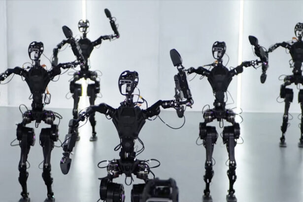 video piata muncii schimbata de ai bnr a estimat impactul inteligentei artificiale in economie doar 4 dintre joburi supuse riscului 6943bcf3b2371