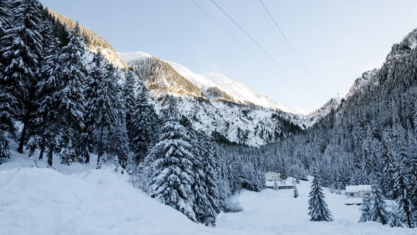 36 de comunități din Alba rămân în beznă din cauza ninsorilor abundente 1 36 de localitati din alba in continuare fara energie electrica in urma ninsorilor 695a1cef83196