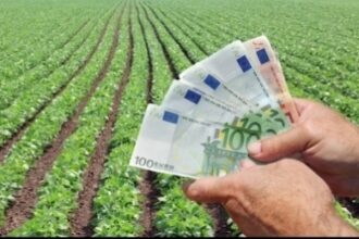 agricover credit ia un credit de 25 milioane euro de la bei pentru a facilita accesul la credite pentru microintreprinderile agricole 695c1b373e4be