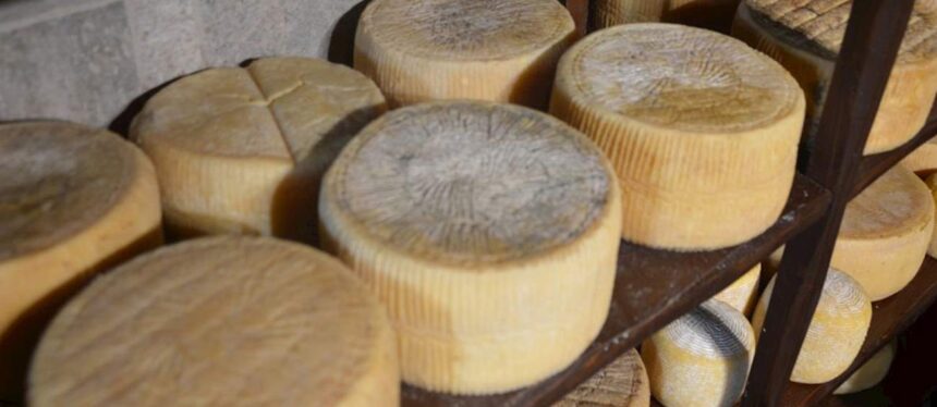 cele mai bune 100 de branzeturi din lume una este din romania cine o produce 696fe1ac60429