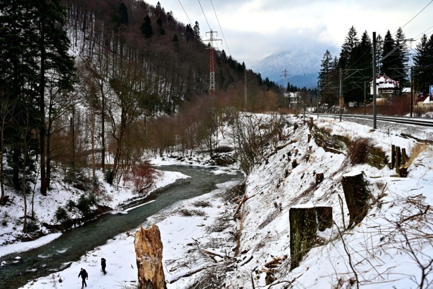 Expertiză tehnică solicitată pentru avansarea proiectului Centura Azuga – Bușteni, în urma provocărilor întâmpinate din cauza defrișărilor 1 centura azuga busteni se cere o expertiza tehnica pentru continuarea proiectului dupa surprizele din teren din urma defrisarilor 69679e844f6b4