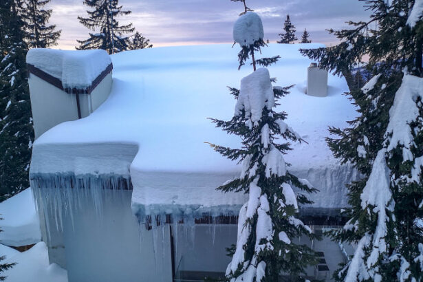 iarna aduce pagube de zeci de mii de euro pentru proprietarii de locuinte cea mai mare despagubire platita a trecut de 30 000 de euro 6960dec28210b