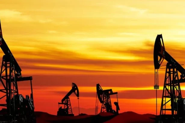 opec si a redus cu 05 oferta de petrol in decembrie 6969551a622ad