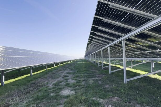 premiera parcurile fotovoltaice au batut turbinele eoliene si au ajuns a doua sursa de generare de energie a romaniei in termeni de putere instalata 69729175959f6