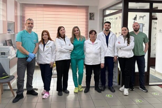 reteaua partnervet a cumparat clinica vet zone din pipera 696faf9c772ca