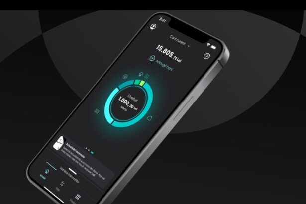 salt bank ar putea ajunge la un milion de clienti in primavara anului viitor 695bad0170a6f