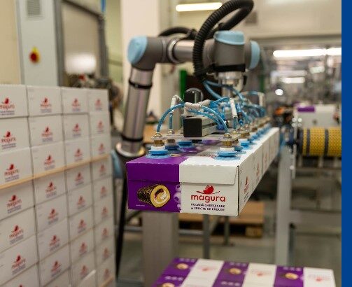 schimbari strategice la kandia dulce cel mai mare producator de ciocolata din romania 697a7f61596b3