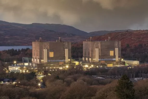 sge si blue bird energy vor sa dezvolte o flota de sase reactoare modulare mici gvh in bulgaria 695fb839b1c65