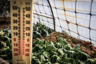 video lovitura primita de agricultori odata cu gerul care s a abatut peste romania costuri duble pentru incalzirea solariilor 696725c5dd00e