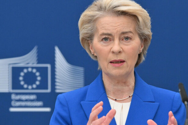 von der leyen a anuntat initiativa eu inc o structura de companie europeana care ar permite infiintarea firmelor in 48 de ore 6970af7f19c24