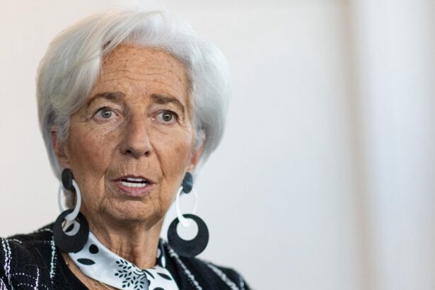 bce anunta ca lagarde se concentreaza pe atributiile sale si nu a luat nicio decizie privind plecarea sa 6995826a3c03c