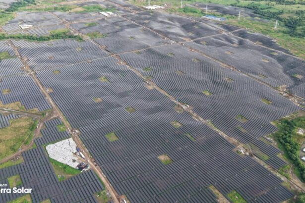 cel mai mare parc fotovoltaic cu baterii din lume a inceput productia de energie 6999f668e1aba